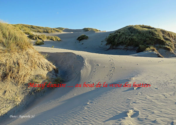 Chambre htes Les Vert Linettes  Massif dunaire Baie de Somme